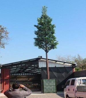 Kamuflāžas bāzes stacija un antena